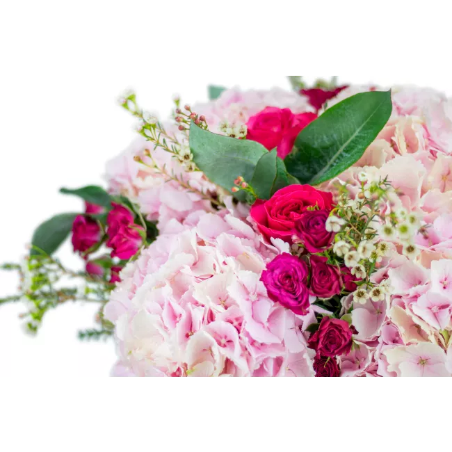 Bouquet with hydrangea